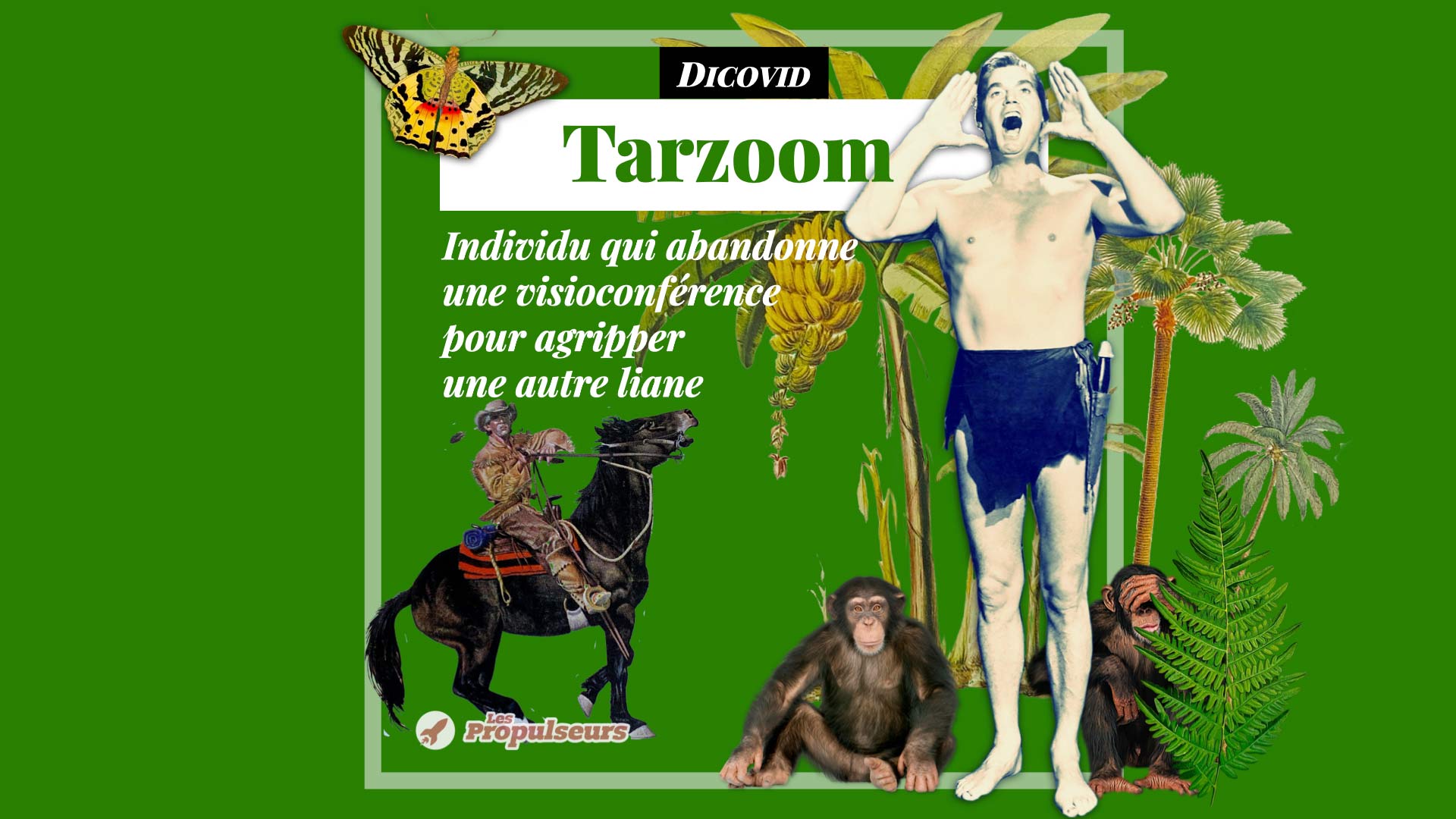 Dicovid Tarzoom